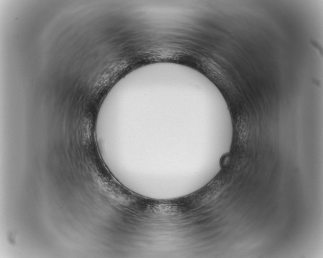 X0000101660546200807311438