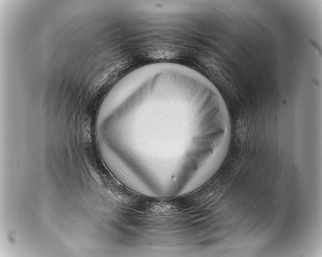 X0000101660547200807311438