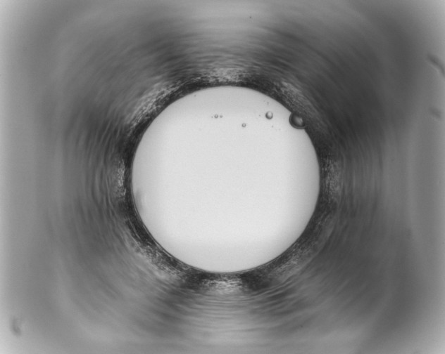 X0000101660548200807311438