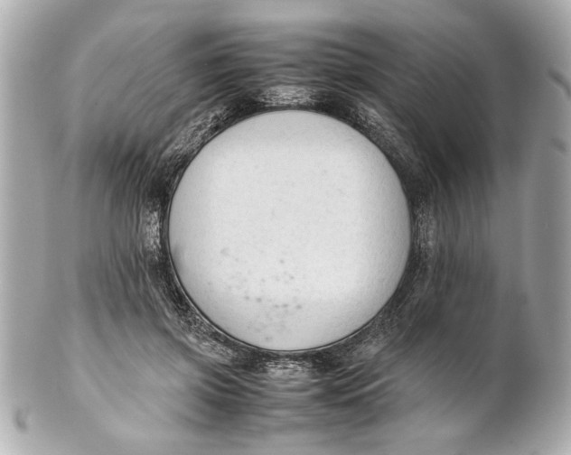 X0000101660549200807311438