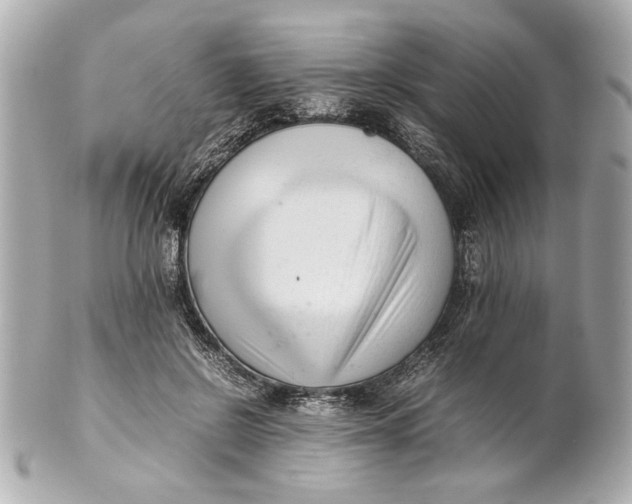 X0000101660550200807311438