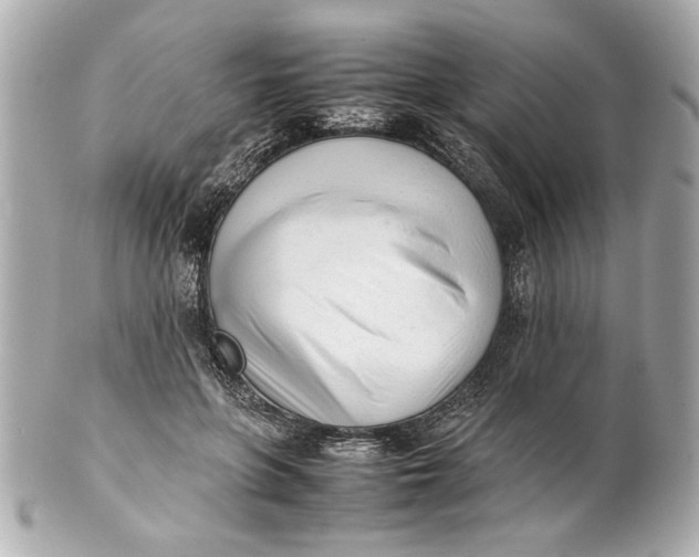 X0000101660551200807311438