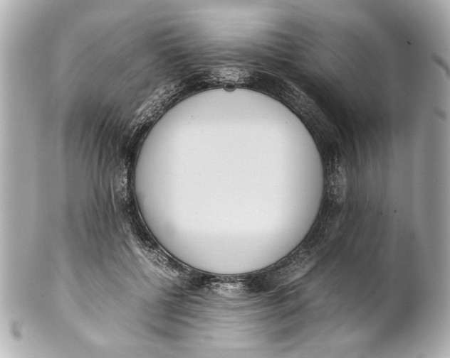 X0000101660552200807311438