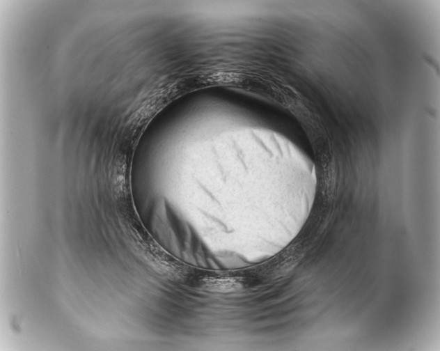 X0000101660553200807311438