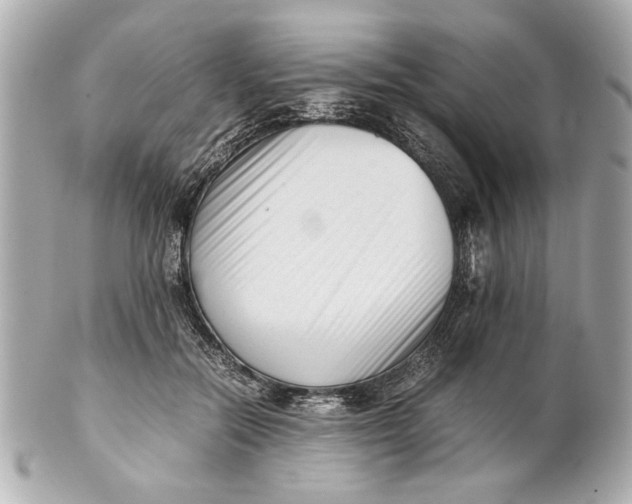 X0000101660554200807311438