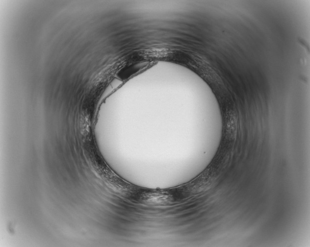 X0000101660555200807311438