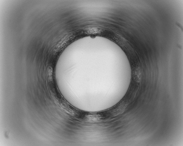 X0000101660556200807311438