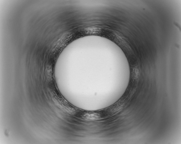 X0000101660557200807311438