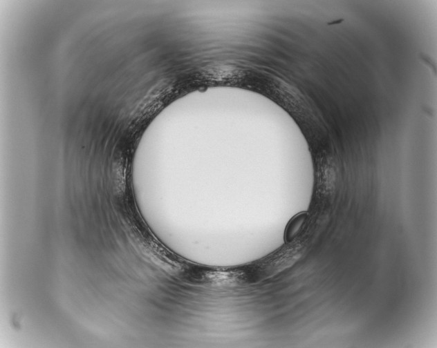 X0000101660558200807311438