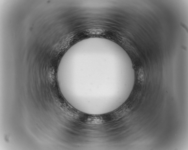 X0000101660559200807311438