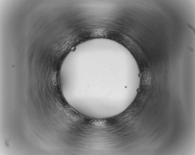 X0000101660560200807311438