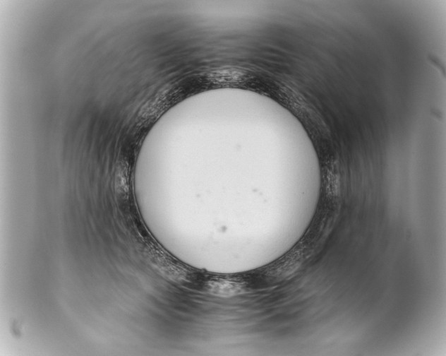 X0000101660561200807311438