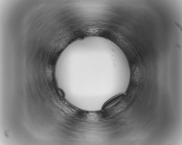 X0000101660562200807311438