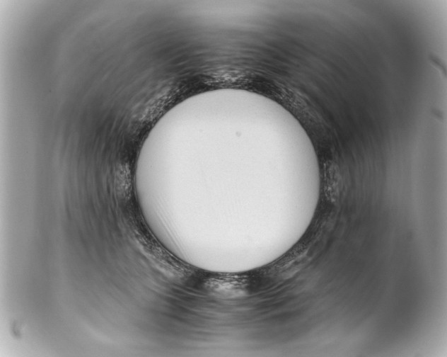 X0000101660563200807311438