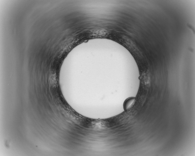 X0000101660564200807311438