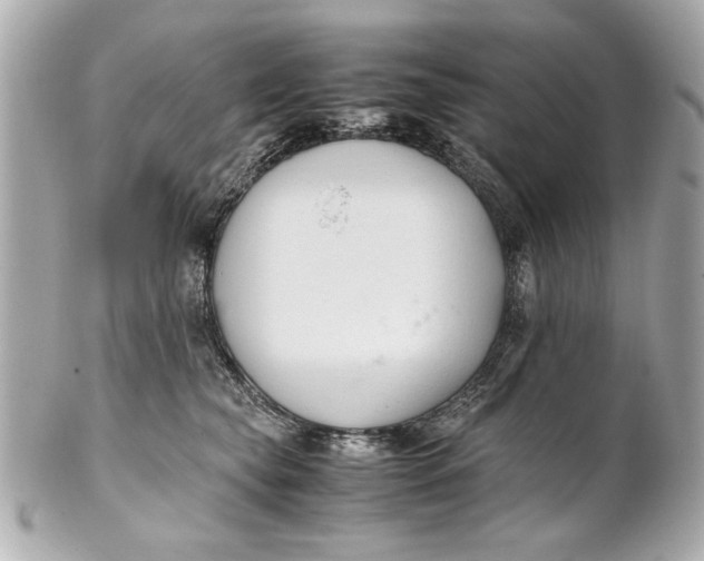 X0000101660565200807311438