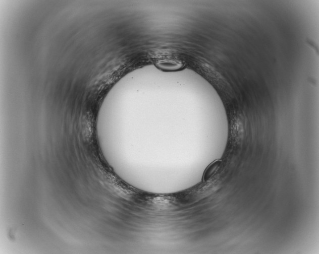 X0000101660566200807311438