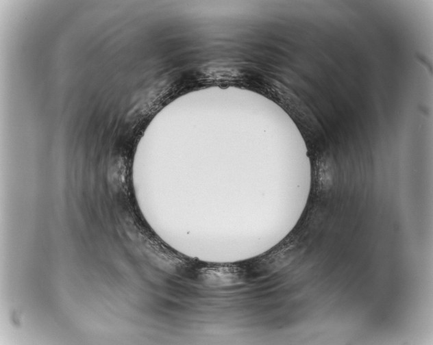 X0000101660567200807311438