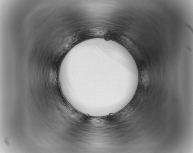 X0000101660568200807311438