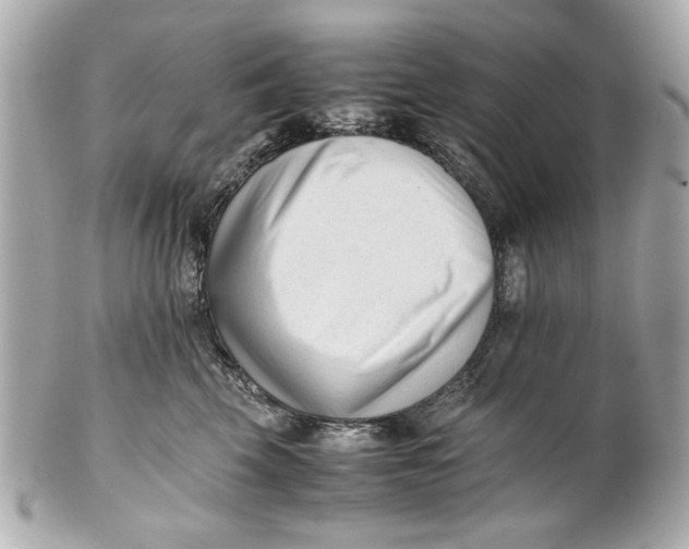 X0000101660569200807311438