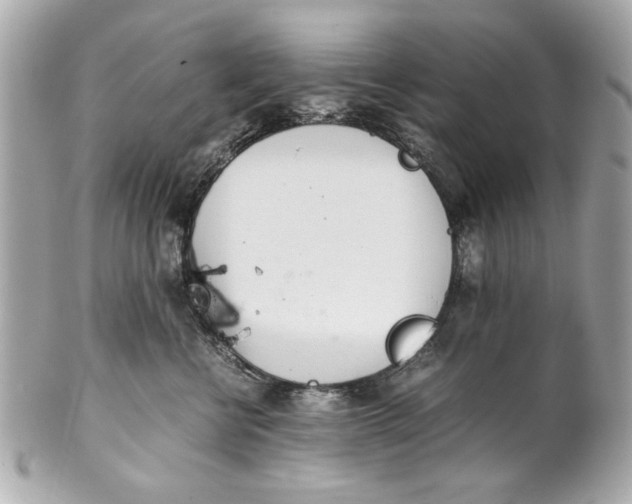 X0000101660570200807311438