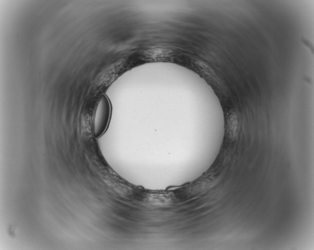 X0000101660571200807311438