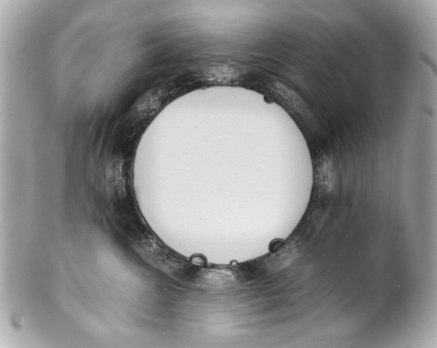 X0000101660572200807311438