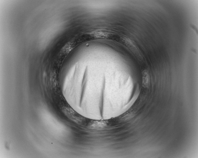 X0000101660573200807311438