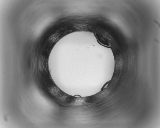 X0000101660574200807311438