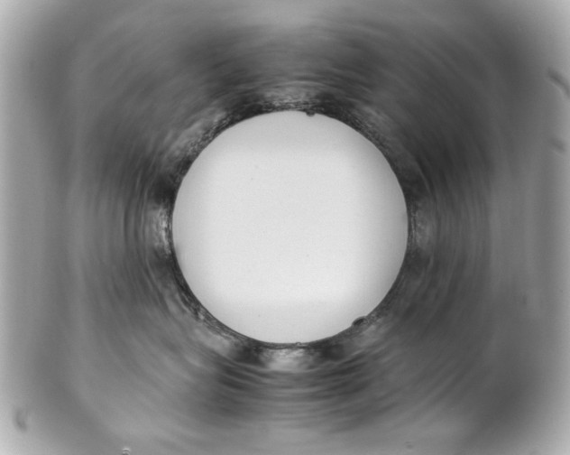 X0000101660575200807311438