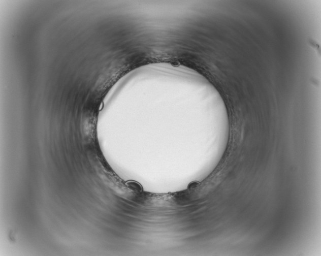 X0000101660576200807311438