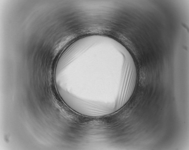 X0000101660578200807311437