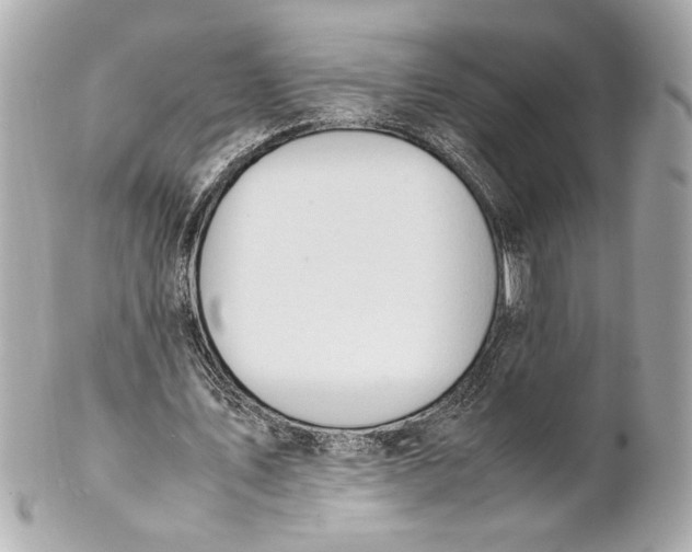 X0000101660579200807311437