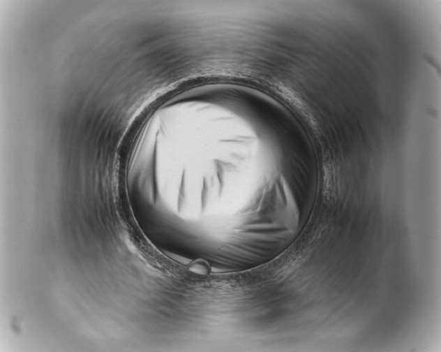 X0000101660580200807311437