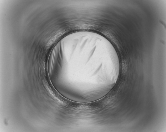 X0000101660581200807311437