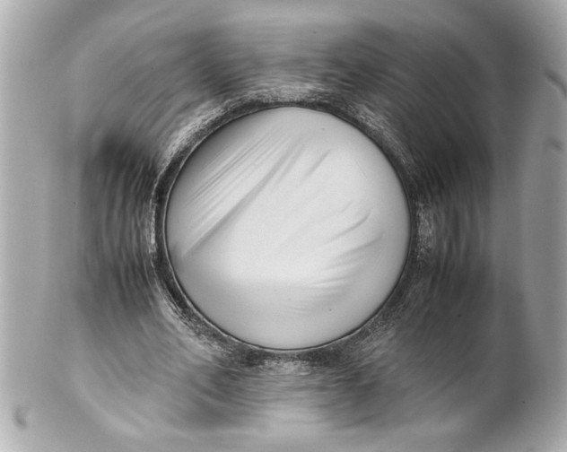 X0000101660582200807311437