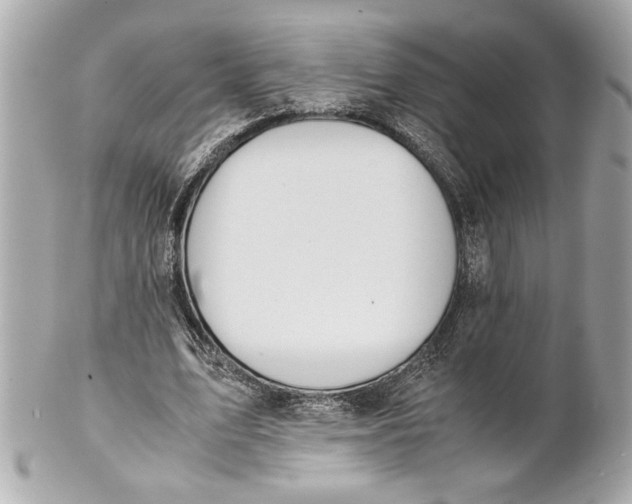 X0000101660583200807311437