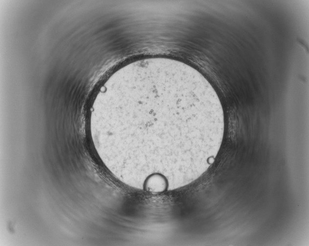 X0000101660584200807311437