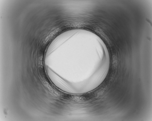 X0000101660585200807311437