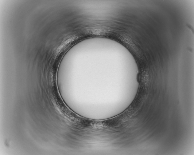 X0000101660587200807311437