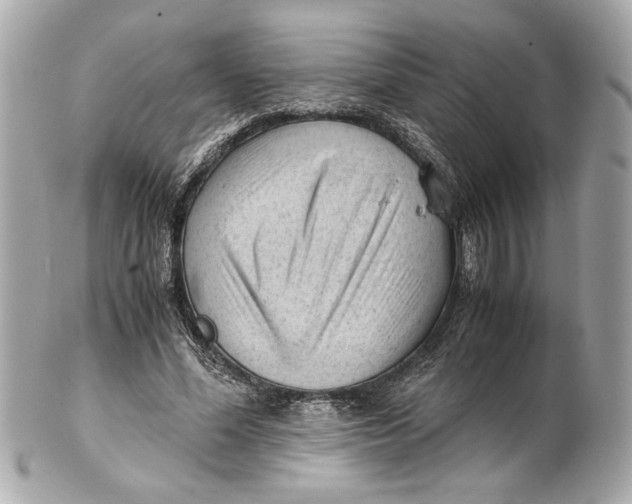 X0000101660588200807311437