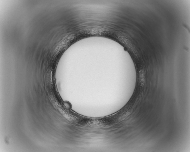 X0000101660589200807311437