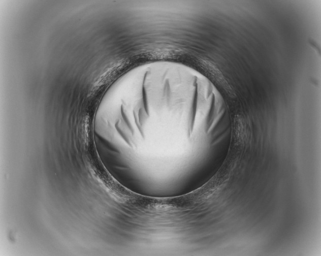 X0000101660590200807311437