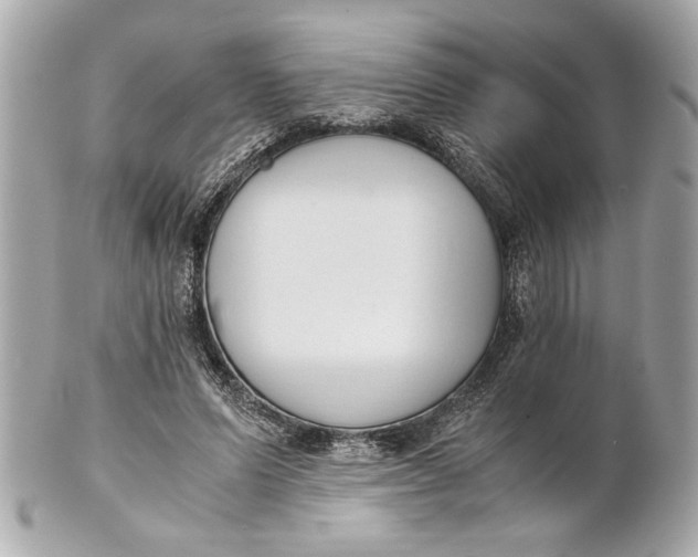 X0000101660591200807311437