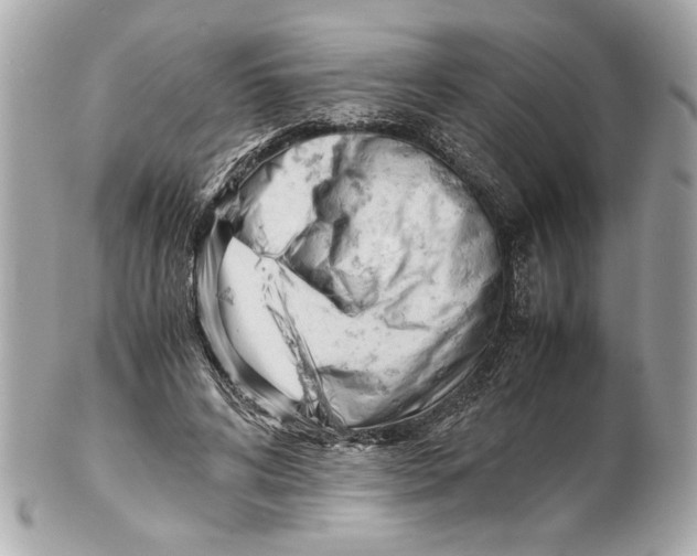 X0000101660592200807311437