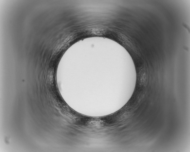 X0000101660595200807311437