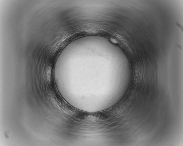 X0000101660596200807311437