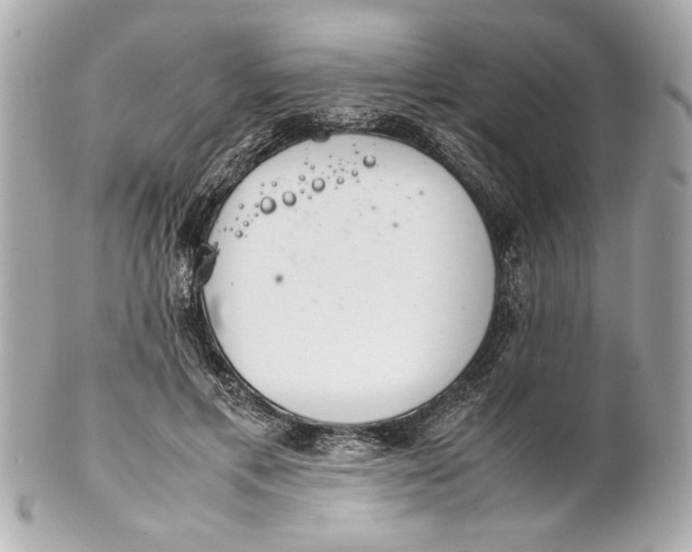 X0000101660597200807311437