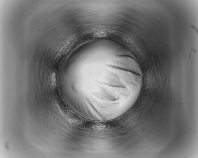 X0000101660598200807311437