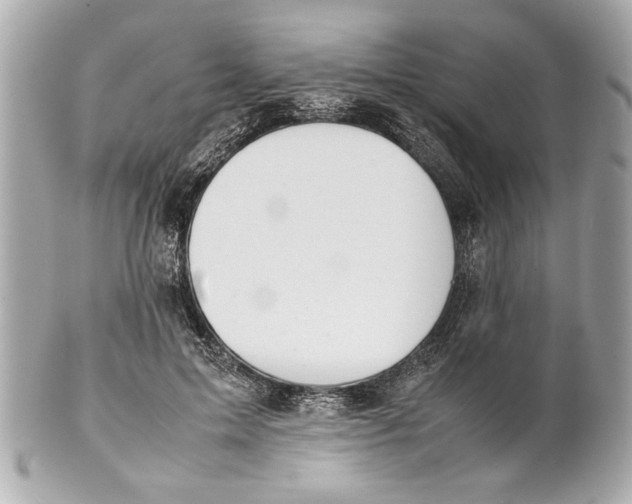 X0000101660599200807311437